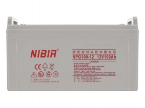 NPG100-12
